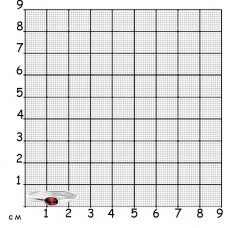 КОЛЬЦО С ОВАЛЬНЫМ КАБОШОНОМ "СПАСИ И СОХРАНИ" КОЛЬЦО С ОВАЛЬНЫМ КАБОШОНОМ "СПАСИ И СОХРАНИ"